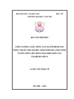 Chất lượng cuộc sống của người bệnh sau phẫu thuật nội soi bóc nhân phì đại lành tính tuyến tiền liệt bằng dao điện đơn cực tại bệnh viện E