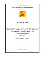 Tóm tắt nghiên cứu tổng hợp kẽm borat, nhôm hydroxit và hydrotalcit dạng tấm nano Ứng dụng chế tạo polyme compozit chống cháy