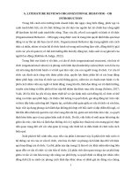 Literature reviews organizational behavior – ob (Hành vi tổ chức - Phân tích ảnh hưởng đến hiệu quả hoạt động của tổ chức thông qua cơ cấu, văn hoá và phong cách lãnh đạo)