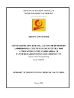 Tóm tắt tiếng anh nghiên cứu tổng hợp kẽm borat, nhôm hydroxit và hydrotalcit dạng tấm nano Ứng dụng chế tạo polyme compozit chống cháy
