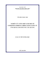 Nghiên cứu tổng hợp xanh một số composite ferrite carbon chấm lượng tử Ứng dụng làm chất xúc tác quang