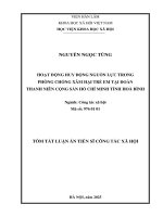 Tóm tắt hoạt Động huy Động nguồn lực trong phòng chống xâm hại trẻ em tại Đoàn thanh niên cộng sản hồ chí minh tỉnh hoà bình