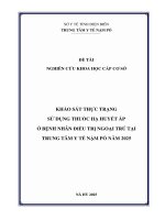 Khảo sát thực trạng sử dụng thuốc hạ huyết áp ở bệnh nhân Điều trị ngoại trú tại Trung tâm Y tế Nậm Pồ năm 2025