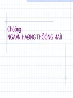Ngan hang thuong mai