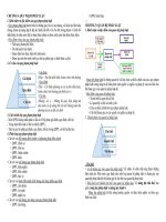 Ôn Tập Pháp Luật Đại Cương 