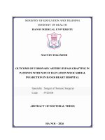 Tóm tắt luận án tiếng anh kết quả phẫu thuật bắc cầu chủ vành Ở người bệnh nhồi máu cơ tim cấp st không chênh lên tại bệnh viện tim hà nội