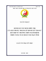 Đánh giá tác dụng Điều trị của bài thuốc hoàng kỳ bổ huyết thang kết hợp từ trường trên người bênḥ thiểu năng tuần hoàn não mạn tính
