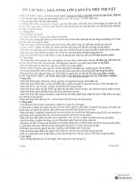 Khả năng lớn lao của tiểu thuyết văn 12