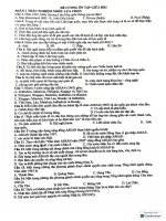 Đề cương sử 12 Ôn gki 1