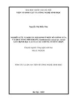 01050005797 tomtat nghiên cứu vi khuẩn nội sinh Ở một số giống lúa và khả năng Đối kháng xanthomonas oryzae pv  oryzae gây bệnh bạc lá của các chủng tuyển chọn