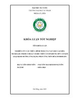 Nghiên cứu cấu trúc, hình thái của vật liệu lai hóa nickel(ii) oxide cobalt oxide trên cơ sở khung hữu cơ kim loại Định hướng Ứng dụng phản Ứng tiến hóa hydrogen