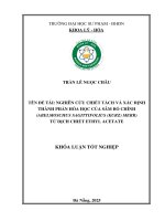 Nghiên cứu chiết tách và xác Định thành phần hóa học của sâm bố chính (abelmoschus sagittifolius (kurz) merr) từ dịch chiết ethyl acetate