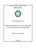 Trích ly polyphenol từ vỏ quả chuối xiêm và Ứng dụng bảo quản quả chuối tiêu