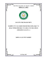 Nghiên cứu xác Định thành phần hóa học và hoạt tính sinh học của hoa cây hoa phấn ( mirabilis jalapa l )