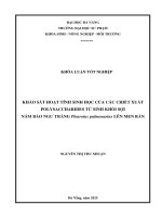 Khảo sát hoạt tính sinh học của các chiết xuất polysaccharides từ sinh khối sợi nấm bào ngư trắng pleurotus pulmonarius lên men rắn