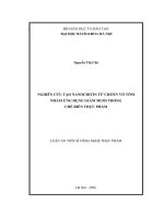 Nghiên cứu tạo nanochitin từ chitin vỏ tôm nhằm Ứng dụng giảm muối trong chế biến thực phẩm
