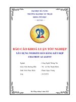 Xây dựng website bán hàng kết hợp chatbot ai agent