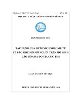 Tác Dụng Của Hypoxic Exosome Từ Tế Bào Gốc Mô Mỡ Người Trên Mô Hình Lão Hoá Da Do Tia Cực Tím