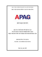 Quản Lý Rủi Ro Tín Dụng Tại Ngân Hàng Trách Nhiệm Hữu Hạn Một Thành Viên Số Vikki Chi Nhánh Đăk Lăk