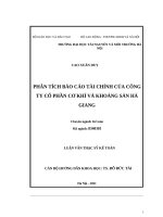 Phân Tích Báo Cáo Tài Chính Của Công Ty Cổ Phần Cơ Khí Và Khoáng Sản Hà Giang