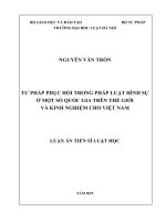 Tư pháp phục hồi trong pháp luật hình sự Ở một số quốc gia trên thế giới và kinh nghiệm cho việt nam