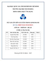 Bài tập lớn môn giải tích trong kinh doanh Đề tài phép toán tích phân