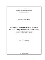 Kiểm toán hoạt Động việc sử dụng ngân sách Địa phương do kiểm toán nhà nước thực hiện