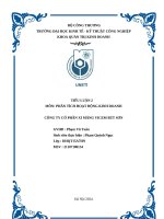 Tiểu luận 2 môn phân tích hoạt Động kinh doanh công ty cổ phần xi măng vicem bút sơn