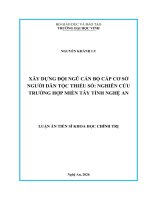 Xây dựng Đội ngũ cán bộ cấp cơ sở người dân tộc thiểu số nghiên cứu trường hợp miền tây tỉnh nghệ an