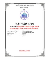 Chủ Đề tìm hiểu chiến lược kinh doanh tại công ty hanoitourist