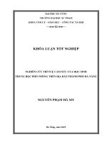 Nghiên cứu trí tuệ cảm xúc của học sinh trung học phổ thông trên Địa bàn thành phố Đà nẵng