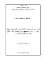 Thực trạng cảm nhận hạnh phúc của học sinh khối thpt tại trường tiểu học, thcs và thpt fpt thành phố Đà nẵng