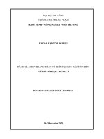 Đánh giá hiện trạng thảm cỏ biển tại khu bảo tồn biển lý sơn tỉnh quảng ngãi