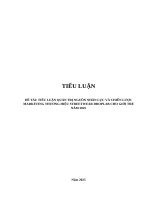 Tiểu luận Quản trị nguồn nhân lực và Chiến lược Marketing thương hiệu streetwear DropLab cho giới trẻ năm 2025 đầy đủ 12 tháng lộ trình