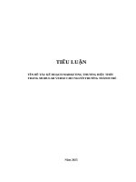 Tiểu luận Quản trị Marketing Kế hoạch Marketing thương hiệu thời trang modular VERSO cho người trưởng thành trẻ 2025 đầy đủ lộ trình và KPI