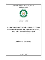 Tổ chức dạy học chương Điện trường vật lý 11 theo phương pháp dạy học nhóm nhằm giáo dục phát triển bền vững cho học sinh
