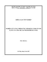 Nghiên cứu về sự thích Ứng với hoàn cảnh có con tự kỷ của cha mẹ tại thành phố Đà nẵng