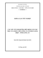 Các yếu tố Ảnh hưởng Đến Động cơ làm việc của nhân viên công ty cổ phần long hiệp – tỉnh long an