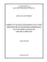 Nghiên cứu Đa dạng thành phần loài và Đặc Điểm phân bố của bướm Đêm (lepidoptera) tại vườn quốc gia bạch mã, tỉnh thừa thiên huế