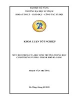 Mức Độ stress của học sinh trường trung học cơ sở trưng vương  thành phố Đà nẵng