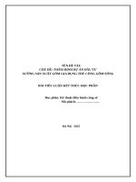 Bài tiểu luận Thẩm định dự án đầu tư khởi nghiệp - xưởng sản xuất gốm gia dụng "Gốm Sống" - 2025