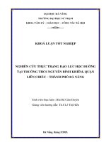 Nghiên cứu thực trạng bạo lực học Đường tại trường thcs nguyễn bỉnh khiêm, quận liên chiểu – thành phố Đà nẵng