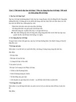 Dh tích hợp và phân hoá