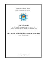 Đề tài nghiên cứu khoa học: Thực trạng vi phạm về lao động trẻ em – Những vấn đề lý luận và thực tiến