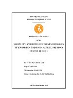 Khóa luận tốt nghiệp Quản trị kinh doanh: Nghiên cứu ảnh hưởng của truyền miệng điện tử (Ewom) đến ý định mua vật liệu nhẹ Zinca của thế hệ Gen Y