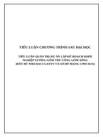 TIỂU LUẬN QUẢN TRỊ DỰ ÁN LẬP KẾ HOẠCH KHỞI NGHIỆP XƯỞNG GỐM THỦ CÔNG GỐM SỐNG - CHƯƠNG TRÌNH SAU ĐẠI HỌC