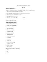 Gtbs Đề cương listening (1)