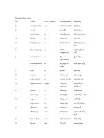 Vocabulary list