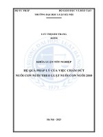 Khóa luận tốt nghiệp Luật học: Hệ quả pháp lý của việc chấm dứt nuôi con nuôi theo Luật Nuôi con nuôi 2010