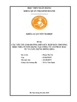 Khóa luận tốt nghiệp Quản trị kinh doanh: Các yếu tố ảnh hưởng đến sức hấp dẫn thương hiệu nhà tuyển dụng của Công ty cổ phần đầu tư và xây dựng Đông Hòa
